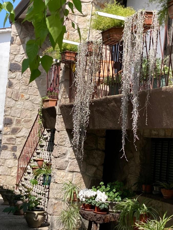 Tencarola B & B מראה חיצוני תמונה