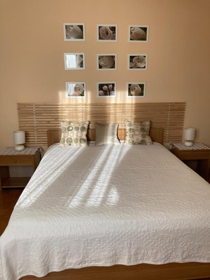 Tencarola B & B מראה חיצוני תמונה