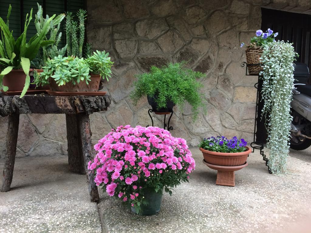 Tencarola B & B מראה חיצוני תמונה